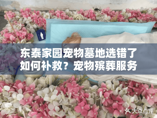 东泰家园宠物墓地选错了如何补救？宠物殡葬服务隐藏费用大揭秘