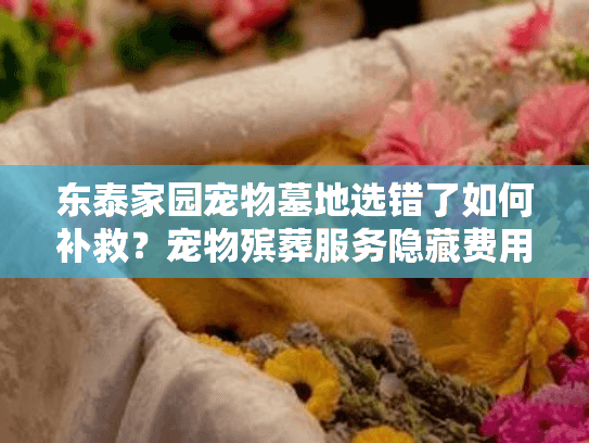 东泰家园宠物墓地选错了如何补救？宠物殡葬服务隐藏费用大揭秘