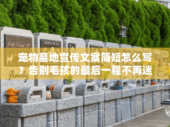 宠物墓地宣传文案简短怎么写？告别毛孩的最后一程不再迷茫