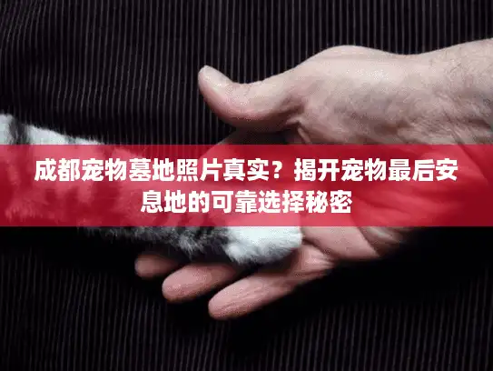 成都宠物墓地照片真实？揭开宠物最后安息地的可靠选择秘密