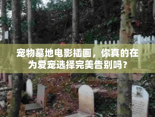 宠物墓地电影插画，你真的在为爱宠选择完美告别吗？