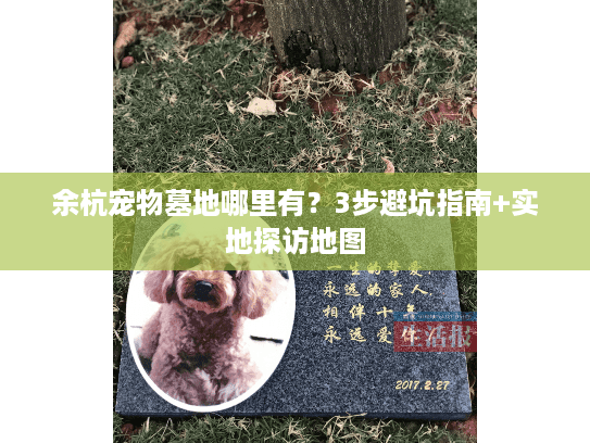 余杭宠物墓地哪里有？3步避坑指南+实地探访地图
