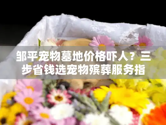 邹平宠物墓地价格吓人?三步省钱选宠物殡葬服务指南 邹平宠物墓地价格吓人?三步省钱选宠物殡葬服务指南