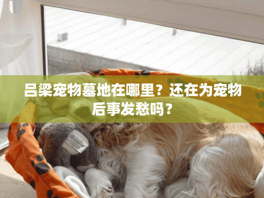 吕梁宠物墓地在哪里？还在为宠物后事发愁吗？