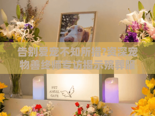 告别爱宠不知所措?资深宠物善终师专访揭示殡葬服务选择的5大关键点