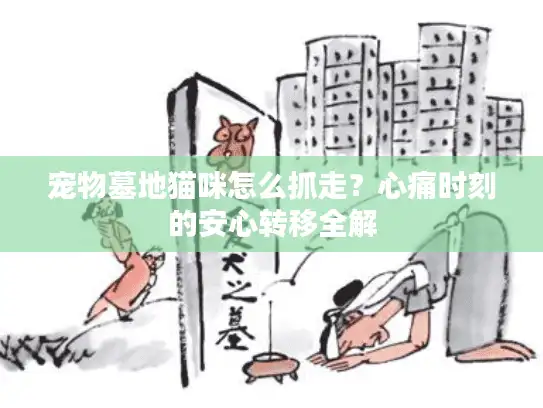宠物墓地猫咪怎么抓走？心痛时刻的安心转移全解