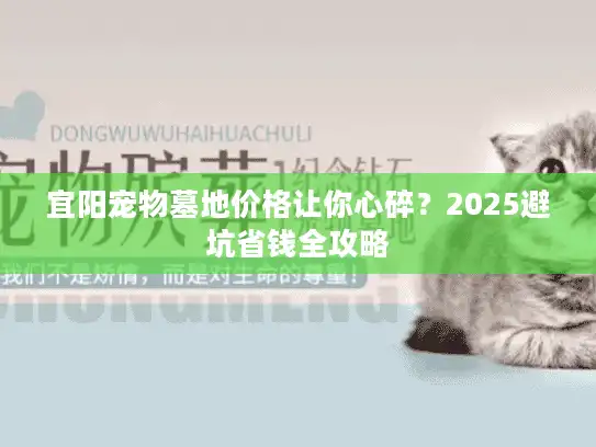 宜阳宠物墓地价格让你心碎？2025避坑省钱全攻略