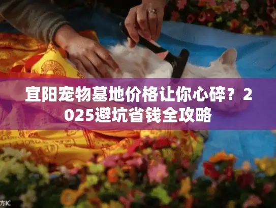 宜阳宠物墓地价格让你心碎？2025避坑省钱全攻略