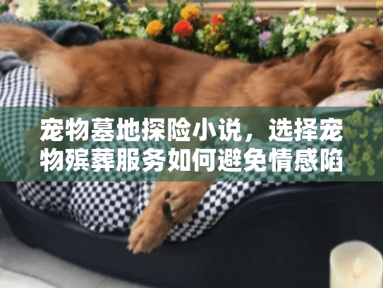 宠物墓地探险小说，选择宠物殡葬服务如何避免情感陷阱？