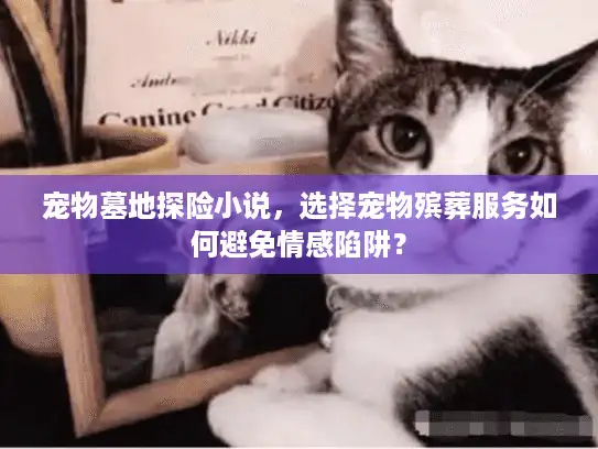 宠物墓地探险小说，选择宠物殡葬服务如何避免情感陷阱？