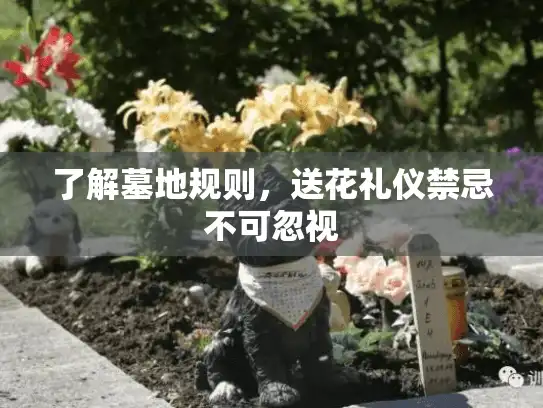 了解墓地规则,送花礼仪禁忌不可忽视 了解墓地规则,送花礼仪禁忌不可忽视