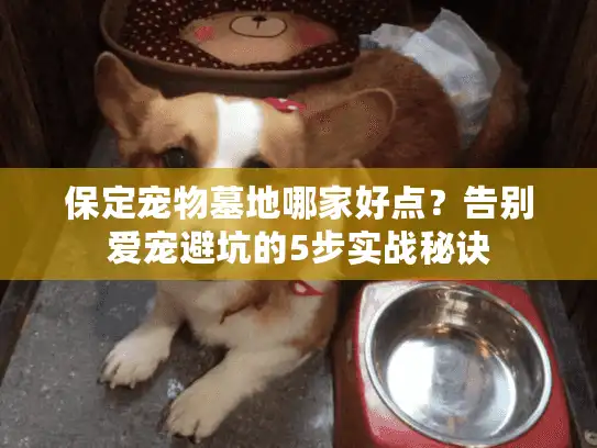 保定宠物墓地哪家好点?告别爱宠避坑的5步实战秘诀 保定宠物墓地哪家好点?告别爱宠避坑的5步实战秘诀