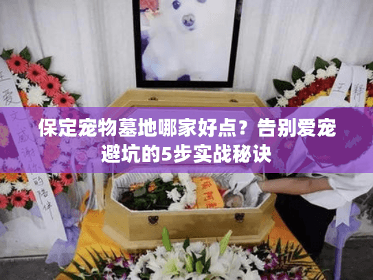 保定宠物墓地哪家好点?告别爱宠避坑的5步实战秘诀 保定宠物墓地哪家好点?告别爱宠避坑的5步实战秘诀