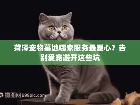 菏泽宠物墓地哪家服务最暖心？告别爱宠避开这些坑