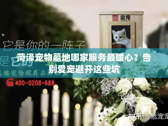 菏泽宠物墓地哪家服务最暖心？告别爱宠避开这些坑
