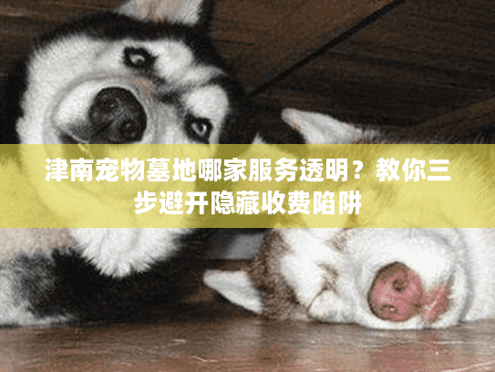 津南宠物墓地哪家服务透明?教你三步避开隐藏收费陷阱 津南宠物墓地哪家服务透明?教你三步避开隐藏收费陷阱