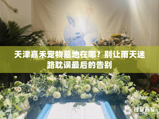 天津嘉禾宠物墓地在哪？别让雨天迷路耽误最后的告别