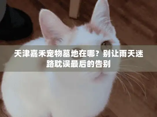 天津嘉禾宠物墓地在哪？别让雨天迷路耽误最后的告别