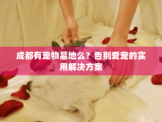 成都有宠物墓地么?告别爱宠的实用解决方案 成都有宠物墓地么?告别爱宠的实用解决方案