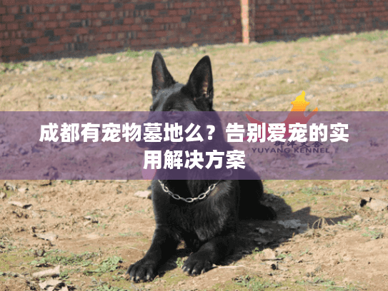 成都有宠物墓地么?告别爱宠的实用解决方案 成都有宠物墓地么?告别爱宠的实用解决方案