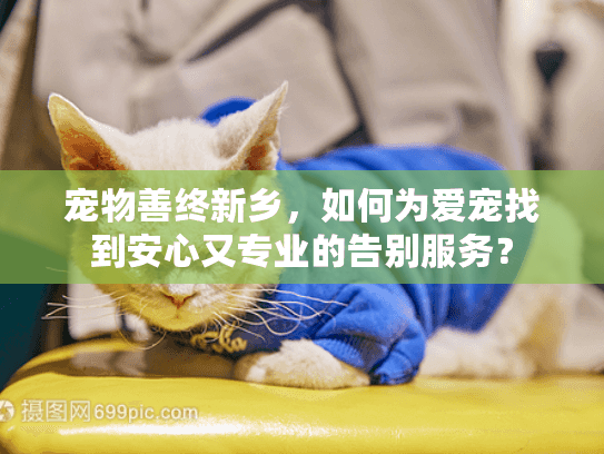 宠物善终新乡，如何为爱宠找到安心又专业的告别服务？