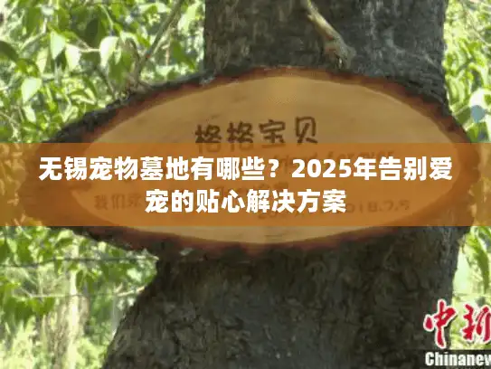 无锡宠物墓地有哪些？2025年告别爱宠的贴心解决方案