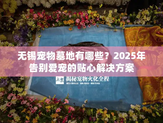 无锡宠物墓地有哪些？2025年告别爱宠的贴心解决方案