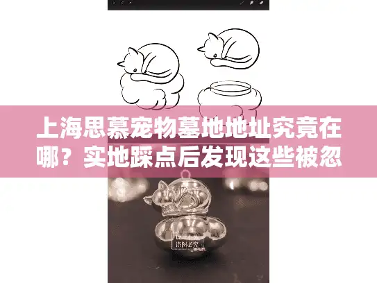 上海思慕宠物墓地地址究竟在哪？实地踩点后发现这些被忽略的细节