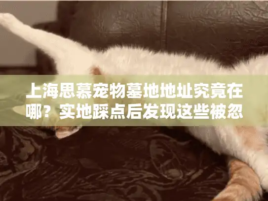 上海思慕宠物墓地地址究竟在哪？实地踩点后发现这些被忽略的细节