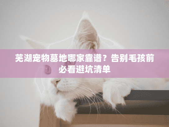 芜湖宠物墓地哪家靠谱？告别毛孩前必看避坑清单