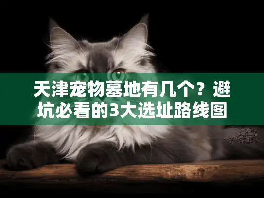 天津宠物墓地有几个?避坑必看的3大选址路线图 天津宠物墓地有几个?避坑必看的3大选址路线图