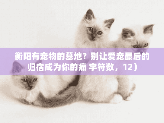 衡阳有宠物的墓地？别让爱宠最后的归宿成为你的痛 字符数，12）