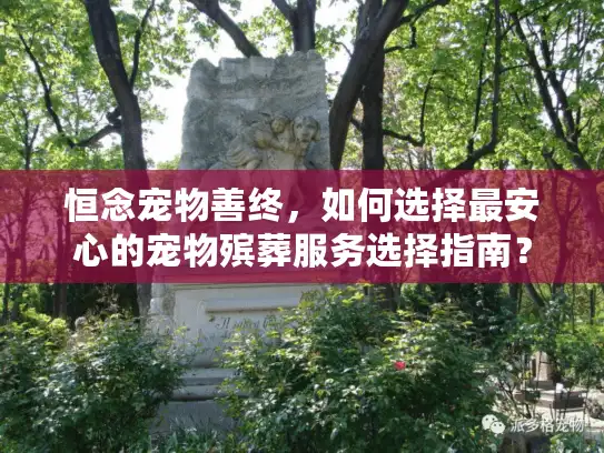 恒念宠物善终，如何选择最安心的宠物殡葬服务选择指南？