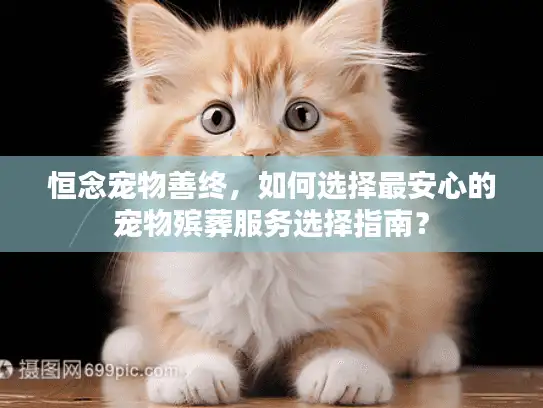 恒念宠物善终，如何选择最安心的宠物殡葬服务选择指南？