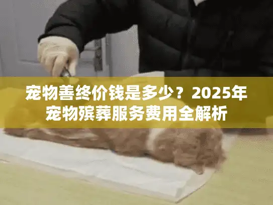 宠物善终价钱是多少？2025年宠物殡葬服务费用全解析