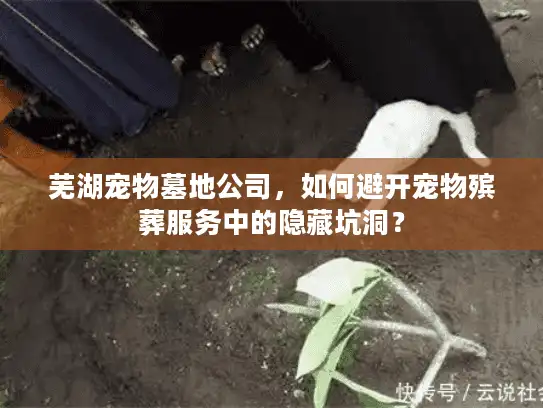 芜湖宠物墓地公司，如何避开宠物殡葬服务中的隐藏坑洞？