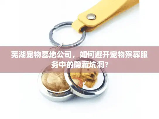 芜湖宠物墓地公司，如何避开宠物殡葬服务中的隐藏坑洞？
