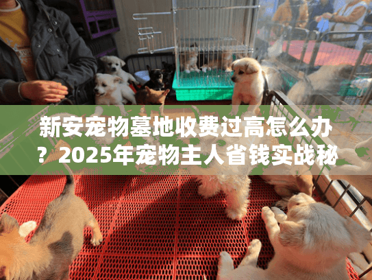 新安宠物墓地收费过高怎么办?2025年宠物主人省钱实战秘笈 新安宠物墓地收费过高怎么办?2025年宠物主人省钱实战秘笈