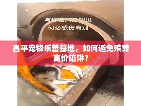 昌平宠物乐善墓地，如何避免殡葬高价陷阱？