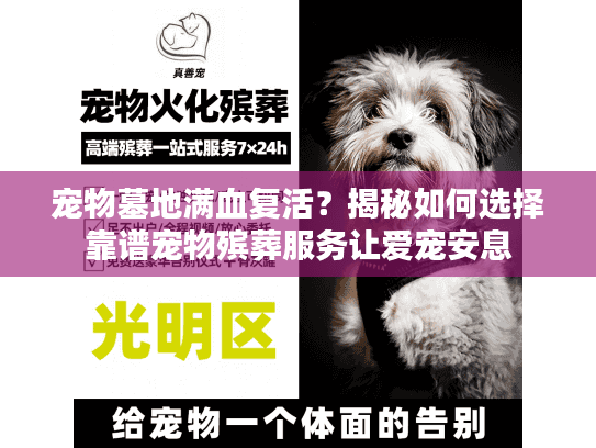 宠物墓地满血复活？揭秘如何选择靠谱宠物殡葬服务让爱宠安息