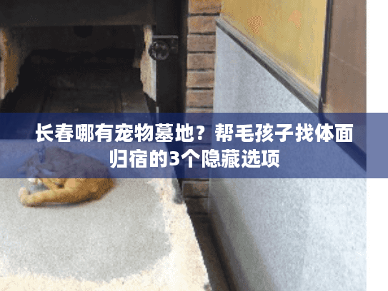 长春哪有宠物墓地?帮毛孩子找体面归宿的3个隐藏选项 长春哪有宠物墓地?帮毛孩子找体面归宿的3个隐藏选项