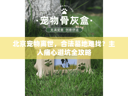 北京宠物离世，合法墓地难找？主人痛心避坑全攻略