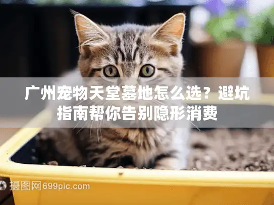 广州宠物天堂墓地怎么选？避坑指南帮你告别隐形消费
