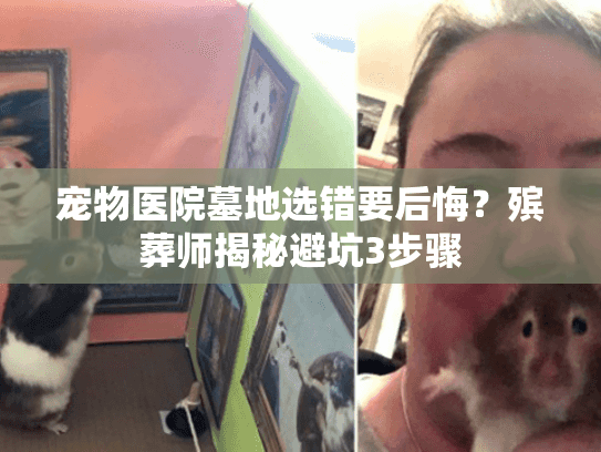 宠物医院墓地选错要后悔？殡葬师揭秘避坑3步骤