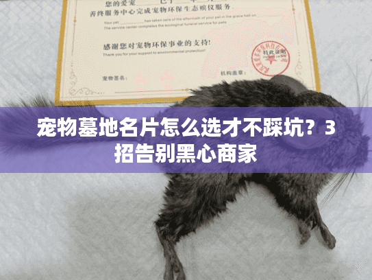 宠物墓地名片怎么选才不踩坑？3招告别黑心商家