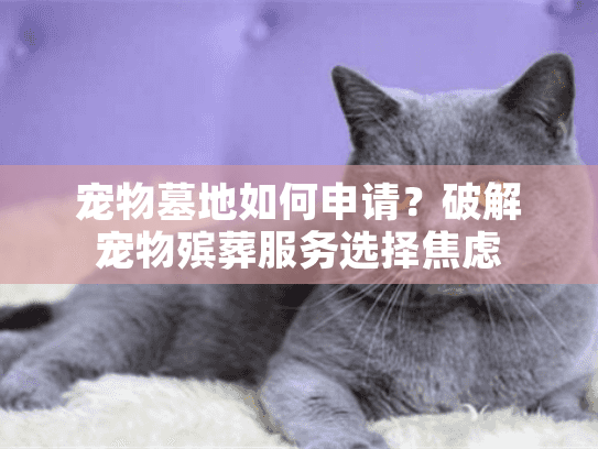 宠物墓地如何申请？破解宠物殡葬服务选择焦虑