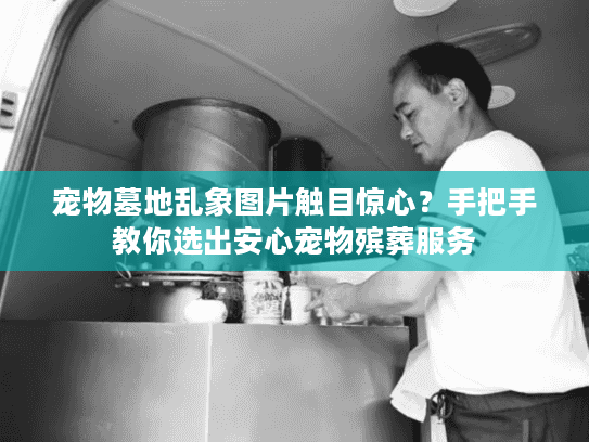 宠物墓地乱象图片触目惊心？手把手教你选出安心宠物殡葬服务