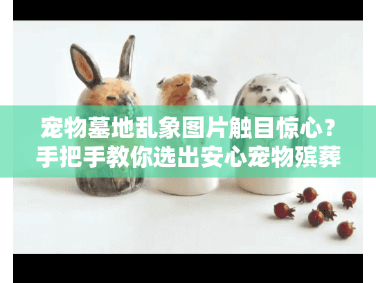 宠物墓地乱象图片触目惊心？手把手教你选出安心宠物殡葬服务