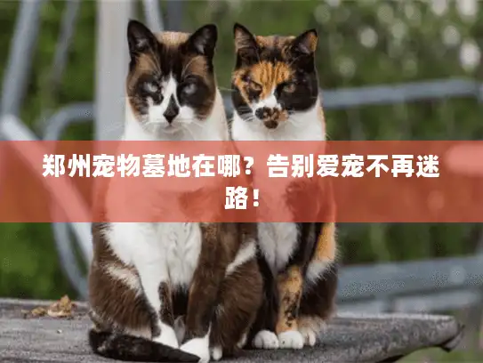 郑州宠物墓地在哪？告别爱宠不再迷路！