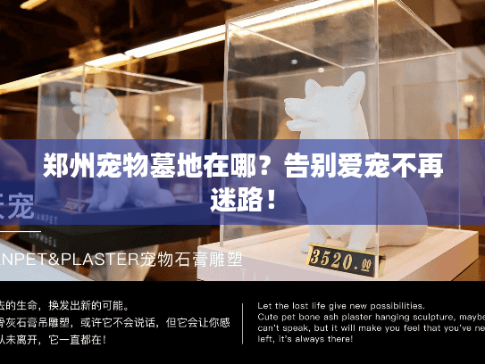 郑州宠物墓地在哪？告别爱宠不再迷路！